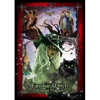 Witches of the Craft Oracle kortos Solarus